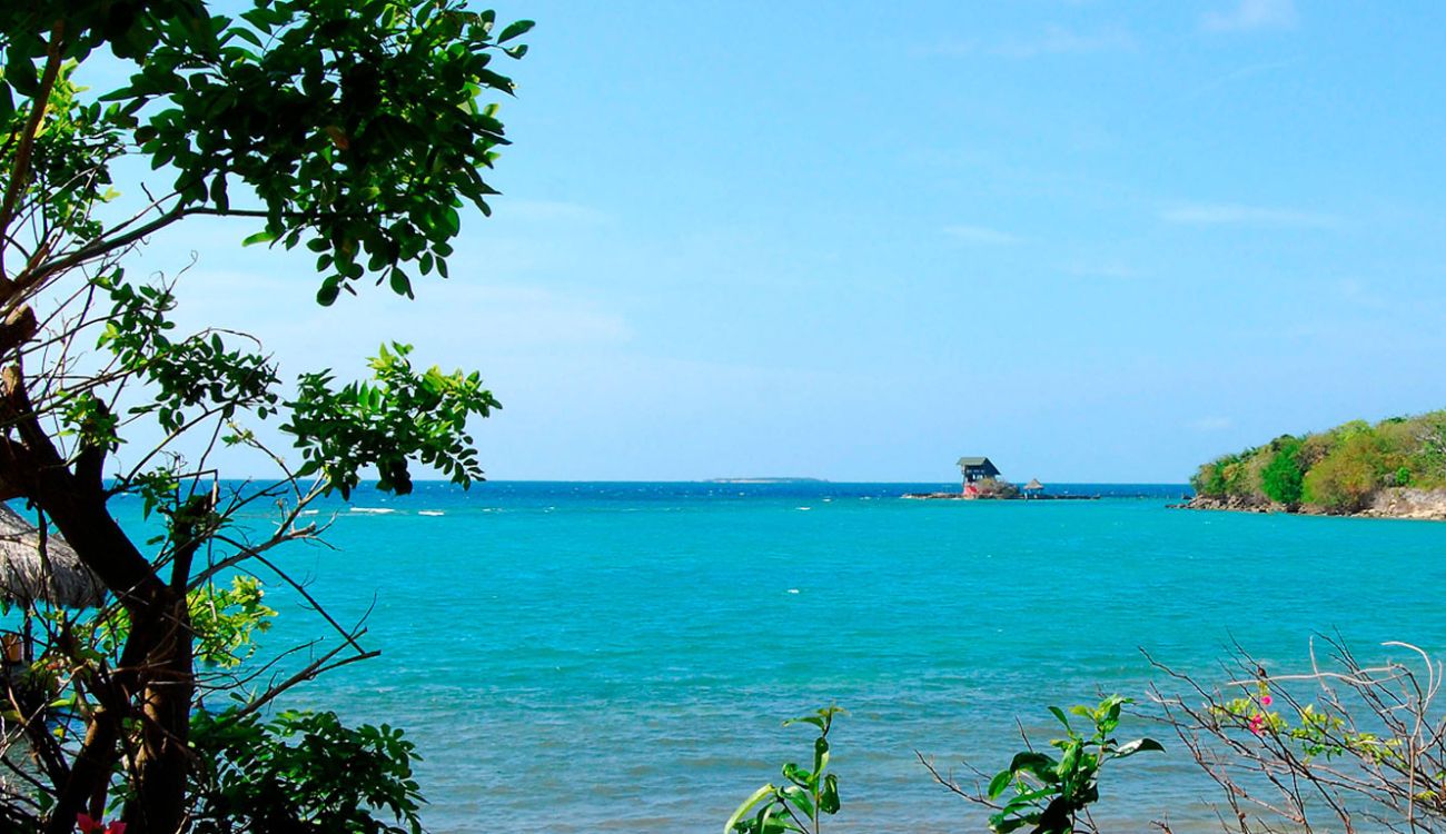 La Procuraduría General solicita informe sobre deterioro en pasarelas de madera del Parque Natural Corales del Rosario y San Bernardo. Alto riesgo de accidentes para visitantes y especies.